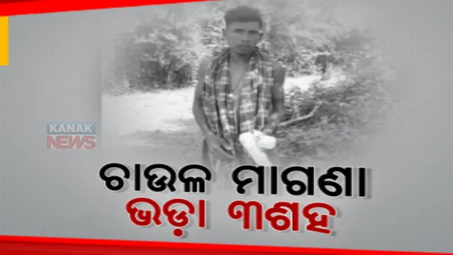 ବିକାଶ ଆଢୁଆଳରେ ଆଦିବାସୀ ଗାଁ। ବଞ୍ଚିବା ପାଇଁ ଭରସା ବାଉଁଶ କରଡି଼