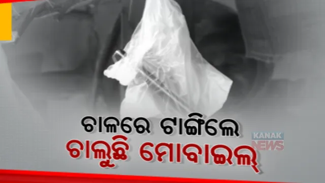 ଗାଁରେ ନାହିଁ ନେଟୱାର୍କ, ସିଗନାଲ ପାଇଁ ଚାଳରେ ଟଙ୍ଗା ହେଉଛି ମୋବାଇଲ। ଫୋନରେ କଥା ହେବା ପାଇଁ ଗାଁ ମୁଣ୍ଡ ଗଛ ମୂଳ ଭରସା