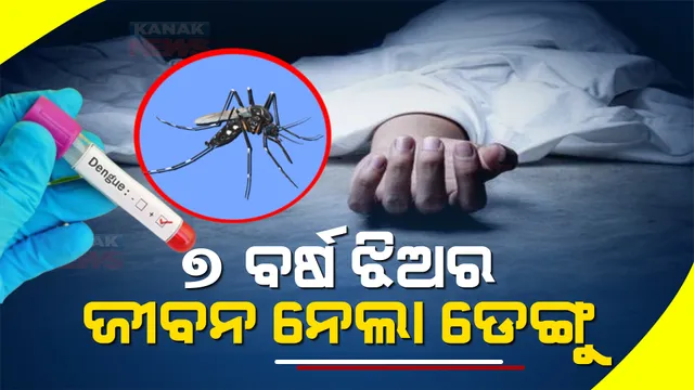 ଡେଙ୍ଗୁ ନେଲା ଜୀବନ ! ରାଜଧାନୀରେ ୭ ବର୍ଷ ବାଳିକାର ମୃତ୍ୟୁ ଅଭିଯୋଗ