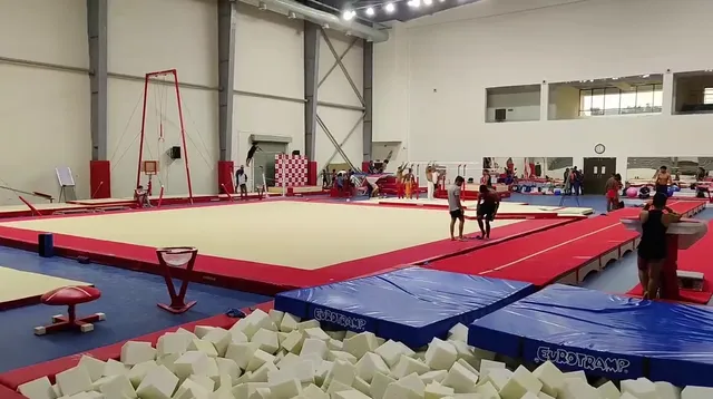 କଳିଙ୍ଗ ଷ୍ଟାଡିୟମରେ ଜିମ୍ନାଷ୍ଟିକ୍ ପିଲାଙ୍କୁ ଉତ୍ସାହିତ କଲେ ଦିଲ୍ଲୀପ ଓମେନ୍। ପ୍ରତିଯୋଗିତାରେ କିପରି ସଫଳ ହେବେ ସେନେଇ ଦେଲେ ପ୍ରେରଣା