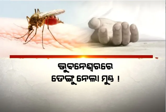 ଭୁବନେଶ୍ୱରରେ ଡେଙ୍ଗୁ ନେଲା ମୁଣ୍ଡ ! ଚଳିତବର୍ଷର ପ୍ରଥମ ଡେଙ୍ଗୁଜନିତ ମୃତ୍ୟୁ