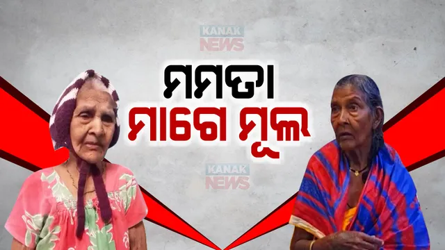ପରିଣତ ବୟସରେ ଅଲୋଡ଼ା ମା’, ପିଲା ଭୁଲି ଯାଉଛନ୍ତି ମା’ର ତ୍ୟାଗ। ପ୍ରଶାସନ ପାଖରେ ନ୍ୟାୟ ମାଗୁଛି ମମତା