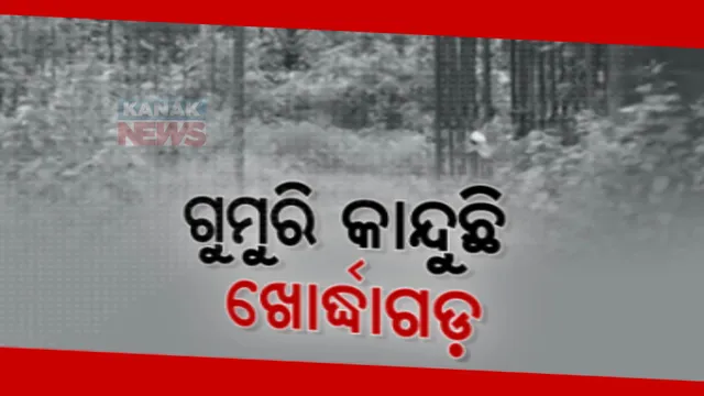 ଅବହେଳିତ ସ୍ମୃତିର ସ୍ମାରକୀ ଖୋର୍ଦ୍ଧାର ଲାଲଗଡ଼। ଗଛଲତାରେ ଢାଙ୍କି ହୋଇ ଭୂତ କୋଠିର ଭ୍ରମ ସୃଷ୍ଟି କରୁଛି ଦେଶର ଶେଷ ସ୍ୱାଧୀନ ଦୁର୍ଗ
