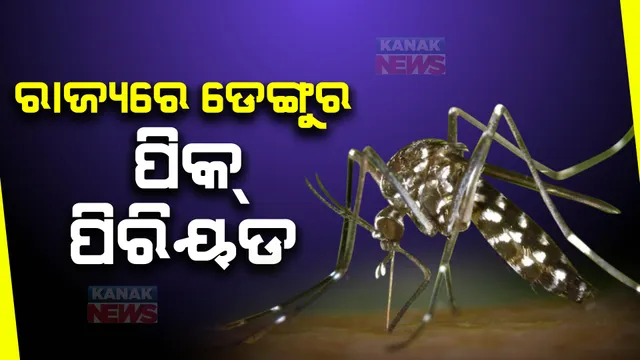 ଡେଙ୍ଗୁ ସ୍ଥିତିକୁ ନେଇ ଜନସାସ୍ଥ୍ୟ ନିର୍ଦ୍ଦେଶକଙ୍କ ବଡ଼ ସୂଚନା । କହିଲେ ରାଜ୍ୟରେ ଏବେ ଡେଙ୍ଗୁ ପିକରେ ଅଛି, ୩୦ ଜିଲ୍ଲାକୁ ବ୍ୟାପିଛି ଡେଙ୍ଗୁ ଜ୍ୱର ।
