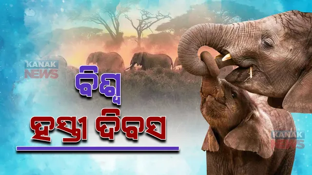 ଆଜି ବିଶ୍ୱ ହାତୀ ଦିବସ : ନନ୍ଦନକାନନ ପ୍ରାଣୀ ଉଦ୍ୟାନରେ ସ୍ୱତନ୍ତ୍ର କାର୍ଯ୍ୟକ୍ରମ