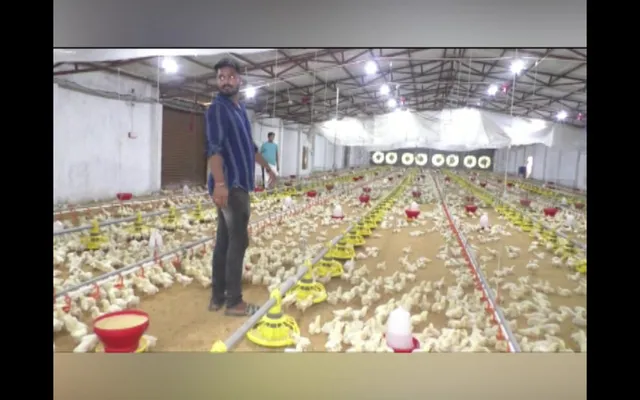 ବିଟେକ୍ ଇଞ୍ଜିନିୟରଙ୍କ ବହୁମୁଖୀ ଚାଷ । ମହୁ, ମାଛ, କୁକୁଡ଼ା, ଫଳ ଓ ପନିପରିବାର ଚାଷ କରୁଛନ୍ତି ନୟାଗଡ଼ର ଯୁବ ଚାଷୀ ଶ୍ରୀତମ ସାହୁ