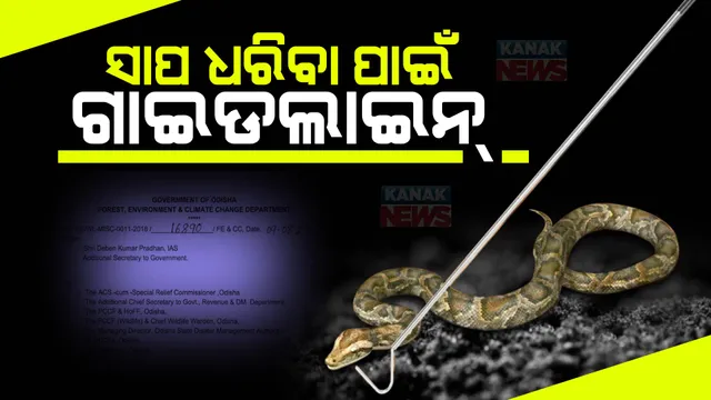 ସାପ ଧରିବା ପାଇଁ ଗାଇଡଲାଇନ୍ : ପଞ୍ଜିକରଣ କରିବେ ରାଜ୍ୟର ସବୁ ସାପଧରାଳି, ମିଳିବ ସୁରକ୍ଷା ଟୁଲ୍ କିଟ୍; ସାପର କ୍ଷତି କଲେ ନିଆଯିବ କଡ଼ା କାର୍ଯ୍ୟାନୁଷ୍ଠାନ