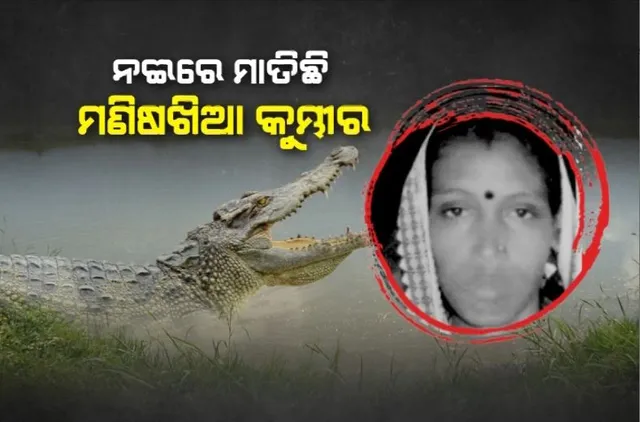 ନଈରେ ମାତିଛି ମଣିଷଖିଆ କୁମ୍ଭୀର। ମହିଳାଙ୍କୁ ମାରି ଖାଇଗଲା ଶରୀର