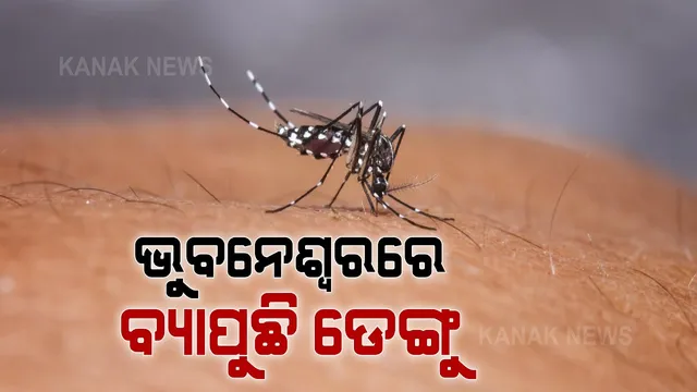 ରାଜ୍ୟରେ ବଢୁଛି ଡେଙ୍ଗୁ । ମୁକାବିଲା ପାଇଁ ସ୍ୱାସ୍ଥ୍ୟ ବିଭାଗ ପ୍ରସ୍ତୁତ, ରାଜଧାନୀରେ ଡେଙ୍ଗୁ ପରୀକ୍ଷା ପାଇଁ କ୍ୟାପିଟାଲ ହସ୍ପିଟାଲରେ ସ୍ୱତନ୍ତ୍ର ବ୍ୟବସ୍ଥା ।