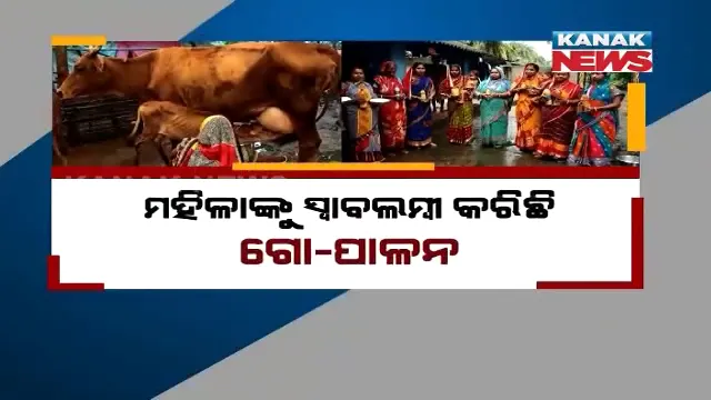 ଏମଭି-୭୪ ଗାଁର ମହିଳାଙ୍କୁ ସ୍ୱାବଲମ୍ବୀ କରିଛି ଗୋ-ପାଳନ। କ୍ଷୀର, ଘିଅ ଓ ପନିର ବିକ୍ରି କରି ଲାଭବାନ
