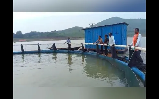 କଳାହାଣ୍ଡି ଇନ୍ଦ୍ରାବତୀ ଜଳଭଣ୍ଡାରରେ କେଜ୍ କଲଚର ଫିସ୍ ଫାର୍ମିଂ । ଭାସମାନ ଜେଟି ଓ ଜାଲରେ ଫିସିଙ୍ଗ କେଜ୍ ସ୍ଥାପନ