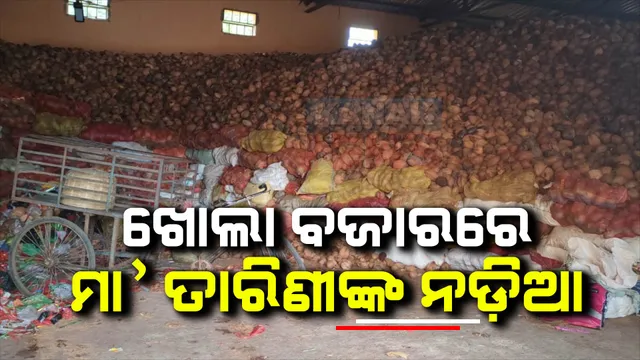 ଖୋଲା ବଜାରରେ ମା’ ତାରିଣୀଙ୍କ ନଡ଼ିଆ : କେହି ନିଲାମ ନଧରିବାରୁ ହେଉଛି ବିକ୍ରି; ପ୍ରଥମ ଦିନରେ ୨୯୦୦ ନଡ଼ିଆ କିଣିଲେ ଲୋକେ