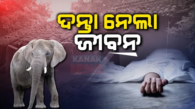 ଗାଁରେ ଶୋଇଥିବା ବେଳେ ବିପିନ ଟପ୍ପୋଙ୍କୁ କଚାଡି ମାରିଲା ଦନ୍ତା : ଗୁରୁତର ଅବସ୍ଥାରେ ଡାକ୍ତରଖାନା ଆଣିବା ବେଳେ ରାସ୍ତାରେ ମୃତ୍ୟୁ