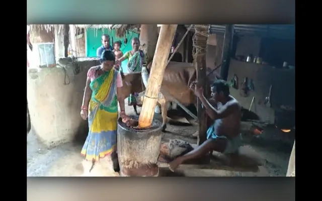 କନକ ବ୍ୟୁରୋ : ବଳଦ ସାହାଯ୍ୟରେ ବୁଲୁଛି ଘଣା । କାଠ ଘଣାରେ ପେଡ଼ା ହେଉଛି ତୈଳବୀଜ, ପାରମ୍ପରିକ ପ୍ରଣାଳୀରେ ପ୍ରସ୍ତୁତ ହେଉଛି ତେଲ