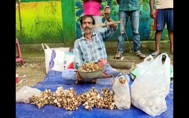 ପ୍ରକୃତି ଦେଉଛି ରୋଜଗାର । ଲଗାଣ ବର୍ଷା ପରେ ପାହାଡରୁ ମିଳୁଛି ଶ୍ରାବଣ ଛତୁ, ୮ଶହ ଟଙ୍କାରେ ହେଉଛି ବିକ୍ରି