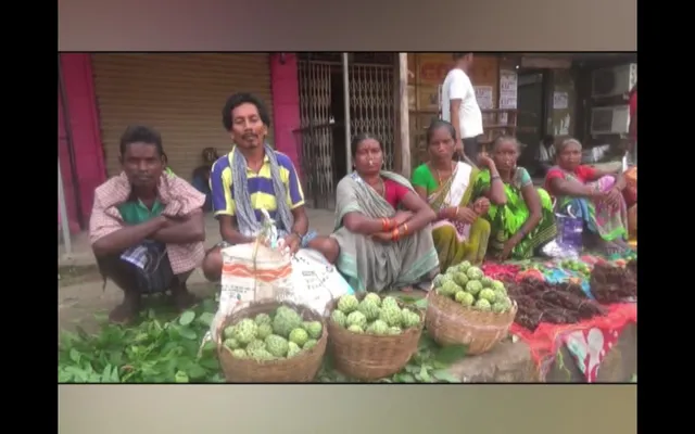 ଜୀବିକା ଯୋଗାଉଛି ଜଙ୍ଗଲି ଆତ । ପାହାଡ଼ରୁ ଆତ ସଂଗ୍ରହ କରି ବିକ୍ରି କରୁଛନ୍ତି ରାୟଗଡ଼ାର ଆଦିବାସୀ ଅଧ୍ୟୁଷିତ ମହିଳା