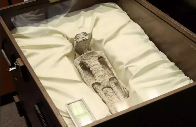 ମେକ୍ସିକୋ ସାଂସଦରେ ପ୍ରଦର୍ଶିତ ହେଲା ଏଲିଅନ୍ କଙ୍କାଳ । ପ୍ରଖ୍ୟାତ ସାମ୍ବାଦିକ ଜେମେ ମୌସାନ୍ ଏଲିଏନଙ୍କ କଙ୍କାଳ ପ୍ରଦର୍ଶନ କରି ଦେଲେ ନୂଆ ତଥ୍ୟ