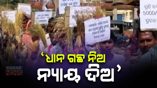 ଜମିରେ ନାହିଁ ପାଣି, ଧାନ ଗଛ ଧରି ଜିଲ୍ଲା ମୁଖ୍ୟାଳୟରେ ପହଂଚିଲେ ଚାଷୀ: ମାଲକାନଗିରିରେ ହଜାର ହଜାର ଚାଷୀଙ୍କ ବିକ୍ଷୋଭ ପ୍ରଦର୍ଶନ 