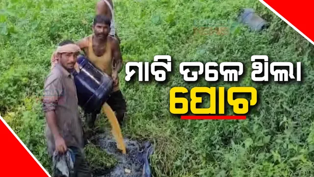 ବେଆଇନ୍ ମଦ ଭାଟିରେ ୧୦୦ ଜଣିଆ ଟିମର ଚଢ଼ାଉ : ବିପୁଳ ମାତ୍ରାରେ ପୋଚ, ରନ୍ଧାମଦ ଜବତ