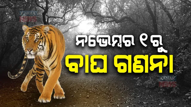 ନଭେମ୍ବର ୧ରୁ ରାଜ୍ୟରେ ଆରମ୍ଭ ହେବ ବାଘ ଗଣନା : ଜାନୁଆରୀ ଶେଷ ସୁଦ୍ଧା ଆସିବ ରିପୋର୍ଟ
