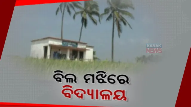 ୪୩ ବର୍ଷ ହେଲା ବିଲ ମଝିରେ ଚାଲିଛି ବିଦ୍ୟାଳୟ: ରାସ୍ତା ନଥିବାରୁ ଧାନ ବିଲ ହୁଡାରେ ଯିବା ଆସିବା କରୁଛନ୍ତି କୁନି କୁନି ଛାତ୍ରଛାତ୍ରୀ
