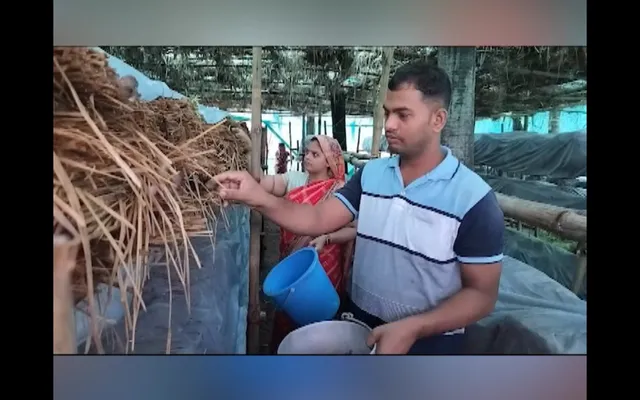 ରାୟଗଡାର ଉଚ୍ଚ ଶିକ୍ଷିତ ଦମ୍ପତିଙ୍କୁ ସ୍ୱାବଲମ୍ବୀ କରିଛି ଛତୁ ଚାଷ । ଦିନକୁ ଉତ୍ପାଦନ ହେଉଛି ୪ରୁ ୫ହଜାର ଟଙ୍କାର ଛତୁ