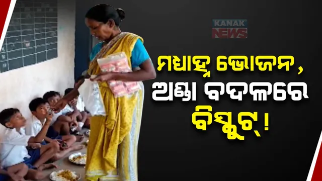 ମଧ୍ୟାହ୍ନ ଭୋଜନ, ଅଣ୍ଡା ବଦଳରେ ବିସ୍କୁଟ୍ ! ପିଏମ୍ ପୋଷଣ ନୋଡାଲ ଅଫିସର କହିଲେ, ପିଲାଙ୍କୁ ଅଣ୍ଡା ବନ୍ଦ ଲାଗି ନାହିଁ ନିର୍ଦ୍ଦେଶ