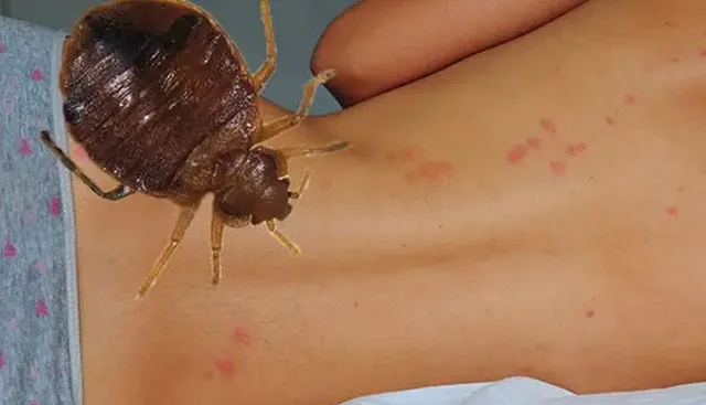 ପ୍ୟାରିସ ଯାଉଛନ୍ତି କି ? ସାବଧାନ