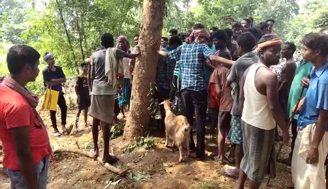 ମହଙ୍ଗା ପଡିଲା ଛେଳି ଚୋରି : କଙ୍ଗାରୁକୋର୍ଟରେ ମାଡ ଖାଇଲେ ଦୁଇ ଯୁବକ