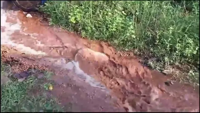 ବୋହିଗଲା ମଦର ଝରଣା : ଓଡିଶା ଝାଡଖଣ୍ଡ ସୀମାନ୍ତ ଜରେଇକେଲାରେ ଦେଖିବାକୁ ମିଳିଲା ଏହି ଦୃଶ୍ୟ