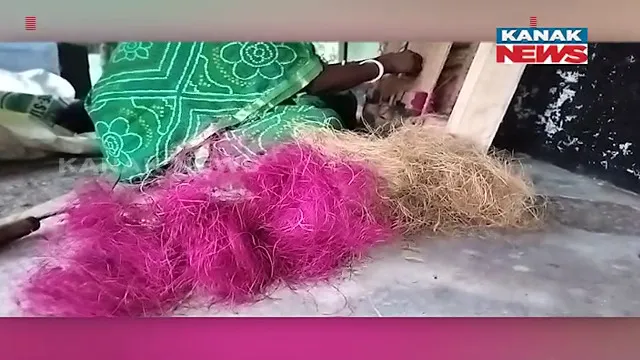 ନଡିଆ କତାରେ ତିଆରି ହେଉଛି ଘରକରଣା ସାମଗ୍ରୀ । ସାକ୍ଷୀଗୋପାଳରୁ କଞ୍ଚାମାଲ ନେଇ କତା ପାପୋଛ ବୁଣୁଛନ୍ତି ଜଳେଶ୍ୱର ଅଞ୍ଚଳର ମହିଳା