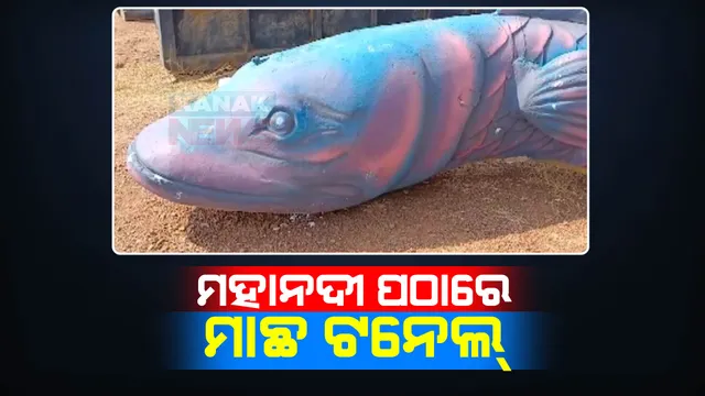 ମହାନଦୀ ପଠାରେ ଦର୍ଶକଙ୍କ ମନ ଜିଣିବ ମାଛ ଟନେଲ । ବାଲିଯାତ୍ରାରେ ଟନେଲ୍ ଫିସ୍ ଆକ୍ୱାରିୟମରେ ବୁଲିବେ ଲୋକ