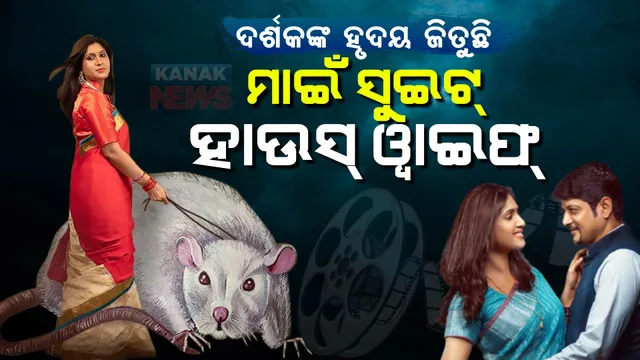 ଦର୍ଶକଙ୍କ ହୃଦୟ ଜିତୁଛି ମାଇଁ ସୁଇଟ ୱାଇଫ: ମୁଖ୍ୟ ଚରିତ୍ରରେ ନୈନା ଏବଂ ପ୍ରୀତିରାଜ