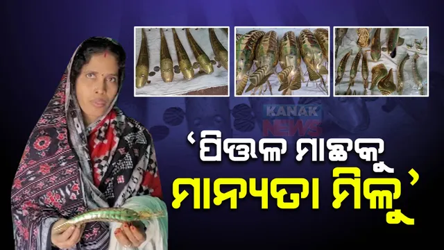 ସାରା ବିଶ୍ୱରେ ପରିଚିତ ହେବ ବେଲଗୁଣ୍ଠାର ପିତଳ ମାଛ: ଜିଆଇ ଟ୍ୟାଗ ପାଇଁ ଆରମ୍ଭ ହୋଇଛି ପ୍ରକ୍ରିୟା