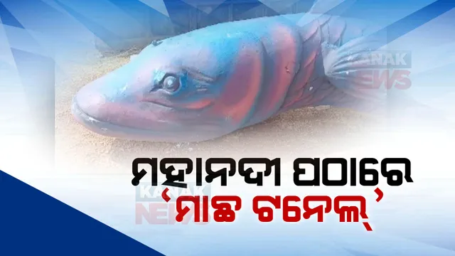 କଟକ ମହାନଦୀ ପଠାରେ ଦର୍ଶକଙ୍କ ମନ ଜିଣିବ ମାଛ ଟନେଲ । ୭୦ ଲକ୍ଷ ଖର୍ଚରେ ଚାଲିଛି ମାଛ ଟନେଲ ପ୍ରସ୍ତୁତି ।