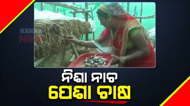 ନୃତ୍ୟ ଶିଳ୍ପୀରୁ ସଫଳ ଚାଷୀ । ପିଲାଙ୍କୁ ଓଡ଼ିଶୀ ନୃତ୍ୟ ପ୍ରଶିକ୍ଷଣ ଦେବା ସହ ଛତୁ ଚାଷ କରୁଛନ୍ତି କଟକ ନିଶ୍ଚିନ୍ତକୋଇଲି ଅଂଚଳର ଦେବରୁପା କର