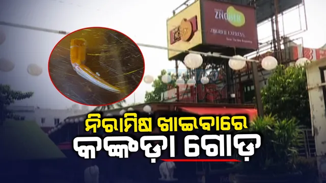 ନିରାମିଷ ଖାଦ୍ୟରେ କଙ୍କଡା ଗୋଡ: ପଚାରିବାରୁ ରେସ୍ତୋରାଁ କର୍ମଚାରୀ ଗ୍ରାହକଙ୍କୁ ମାଡ ମାରିବା ଅଭିଯୋଗ 