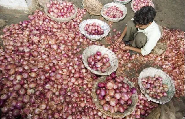 ସାରା ଦେଶରେ ପିଆଜ ଦର ବୃଦ୍ଧି ଚିନ୍ତା । ଖୁଚୁରା ବଜାରକୁ ଆହୁରି ୧ ଲକ୍ଷ ଟନ୍ ପିଆଜ ଛାଡିବା ନେଇ କେନ୍ଦ୍ର ସରକାରଙ୍କ ନିଷ୍ପତ୍ତି । ଅଧାରୁ କମ ଦରରେ ପିଆଜ ବିକିଲା ନାଫେଡ ।
