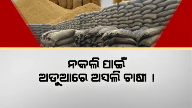ନକଲି ପାଇଁ ଅଡୁଆରେ ଅସଲି ଚାଷୀ ! ଧାନ କିଣା ପ୍ରକ୍ରିୟା ବିଳମ୍ବିତ ହେବା ଆଶଙ୍କା