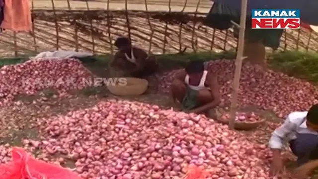 କଳାହାଣ୍ଡିରେ ଚିନ୍ତାରେ ପଡିଛନ୍ତି ପିଆଜ ଚାଷୀ । ଅମଳ ଫସଲ କମ୍ ଦରରେ ବିକ୍ରି ହେଉଥିବା ବେଳେ ଦଲାଲ ହେଉଛନ୍ତି ମାଲାମାଲ ।