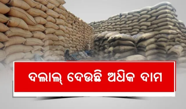 ପଡ଼ିଶା ନେଇଯାଉଛି ଓଡ଼ିଶା ଧାନ । ଟୋକନ ପାଇ ବି ମଣ୍ଡିକୁ ଯାଉନାହାନ୍ତି ଚାଷୀ, କହିଲେ, ଅଧିକ ଦାମ ଦେଉଛନ୍ତି ଛତିଶଗଡ଼ ଦଲାଲ