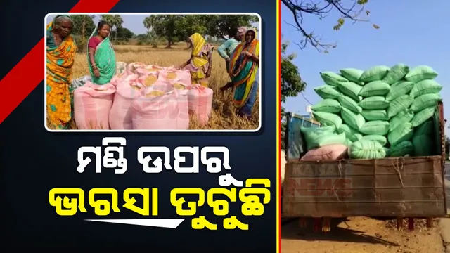 ପଡୋଶୀ ରାଜ୍ୟକୁ ବୁହା ହେଉଛି ଓଡିଶା ଧାନ । ମଣ୍ଡି ଖୋଲିନଥିବାରୁ ଛତିଶଗଡ ଦଲାଲଙ୍କୁ ଧାନ ବିକୁଛନ୍ତି ନବରଙ୍ଗପୁରର ଚାଷୀ