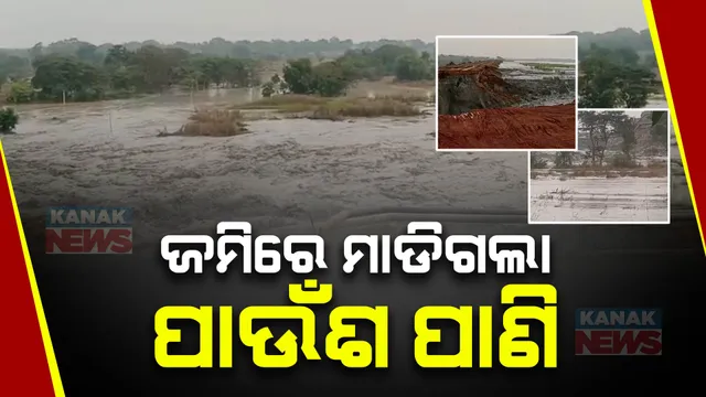 ଏକର ଏକର ଜମିରେ ପଶିଲା ପାଉଁଶ ପାଣି । ଫସଲ ନଷ୍ଟ ନେଇ ଚିନ୍ତାରେ ଚାଷୀ