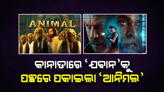 ବିଦେଶରେ ବି କମାଲ କରୁଛନ୍ତି ବଲିଉଡ ଚଳଚିତ୍ର ‘ଆନିମଲ’ । କାନାଡାରେ ‘ଯବାନ’ସିନେମା ଠାରୁ ହେଲା ଭଲ କଲେକସନ