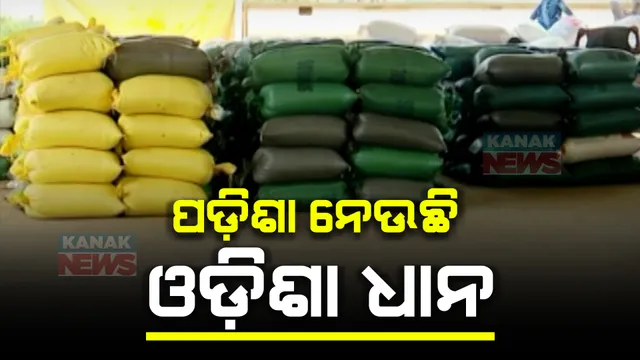ଛତିଶଗଡ ମୁହାଁ ଓଡିଶା ଧାନ । ଧାନର ମୂଲ୍ୟ ଅଧିକ ଥିବାରୁ ମଣ୍ଡି ନୁହେଁ ଦଲାଲଙ୍କୁ ଟେକି ଦେଉଛନ୍ତି ଚାଷୀ , ମାଲକାନଗିରି ଜିଲ୍ଲାରେ ଖାଁ ଖାଁ ଧାନ ମଣ୍ଡି