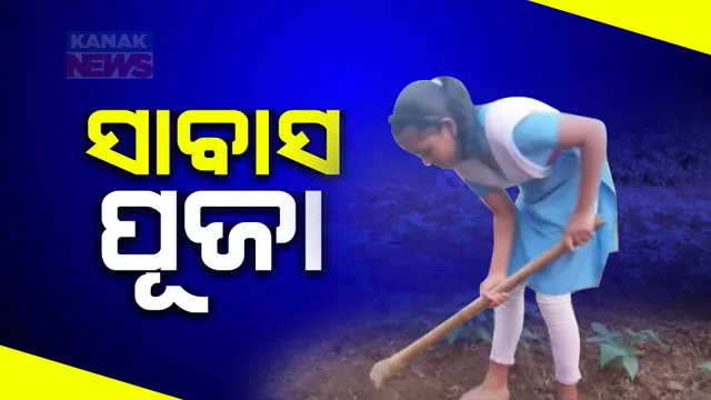 ବାପାଙ୍କୁ ସହାୟତା କରିବାକୁ ଆଗେଇ ଆସିଛନ୍ତି ନିମାପଡ଼ାର କୁନି ଝିଅ । ବିଲକୁ ଯାଇ କାମ କରୁଛନ୍ତି ଦେଉଳି ସାହିର ପୂଜା ସ୍ୱାଇଁ, ସ୍କୁଲ ଯିବା ସହ ବାପାଙ୍କୁ କରୁଛନ୍ତି ସାହାଯ୍ୟ