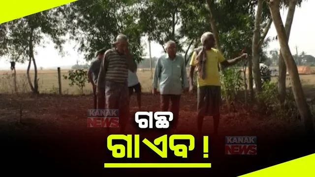 ଗଛ ଲଗାଇବା ନାଁରେ ଗିଳିଦେଲେ ଟଙ୍କା । ୧୭୦୦ ଗଛ ଲଗାଇବାକୁ ବିଲ୍ ହୋଇଛି,  ମାତ୍ର ୩୬ଟି ଗଛ ଲାଗିଛି ।