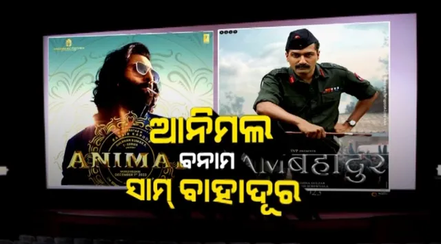 ବଡ଼ପରଦାରେ ବିଗ୍ ଫାଇଟ୍ । ଆନିମଲ ବନାମ ସାମ୍ ବାହାଦୂର