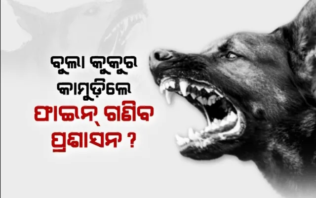 ମା’ ସହିତ ପୁରୀ ଆସିଥିଲା କୁନିପୁଅ । ବଡଦାଣ୍ଡରେ କାମୁଡିଲା କୁକୁର, ପିଲା ଗୁରୁତର