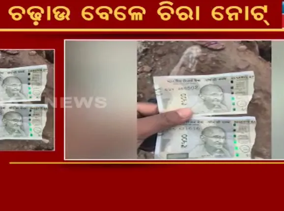 ସ୍ପିରିଟ କାରଖାନା ବାହାରେ ପଡ଼ିଛି ପୁଳା ପୁଳା ୫ଶହ ଟଙ୍କିଆ ଚିରା ନୋଟ୍ । ଚଢଉ ଭୟରେ ଟଙ୍କା ଫିଙ୍ଗିଦେଇଥିବା ସନ୍ଦେହ ।